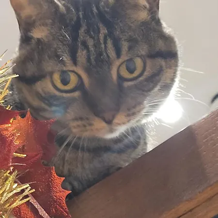 Plug Montmartre By Hiphophostels