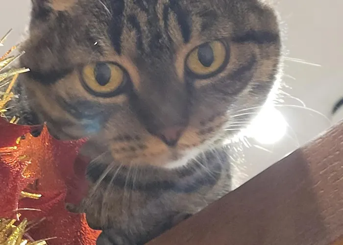 Plug Montmartre By Hiphophostels