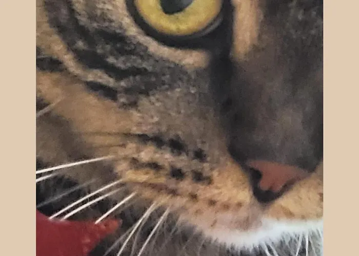 Hostel Plug Montmartre By Hiphophostels